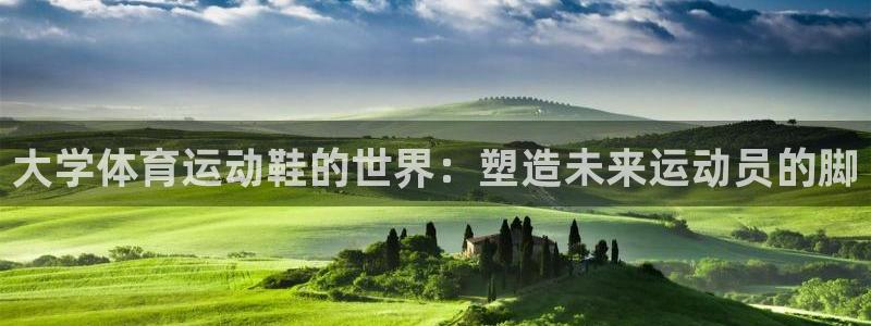 大学体育运动鞋的世界：塑造未来运动员的脚