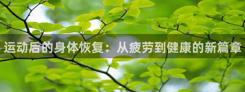 运动后的身体恢复：从疲劳到健康的新篇章