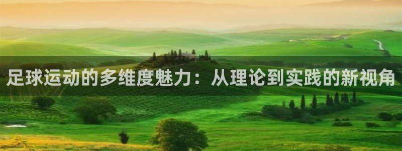 足球运动的多维度魅力：从理论到实践的新视角