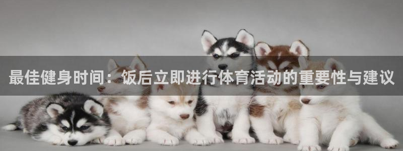 最佳健身时间：饭后立即进行体育活动的重要性与建议