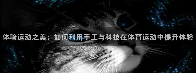 体验运动之美：如何利用手工与科技在体育运动中提升体验