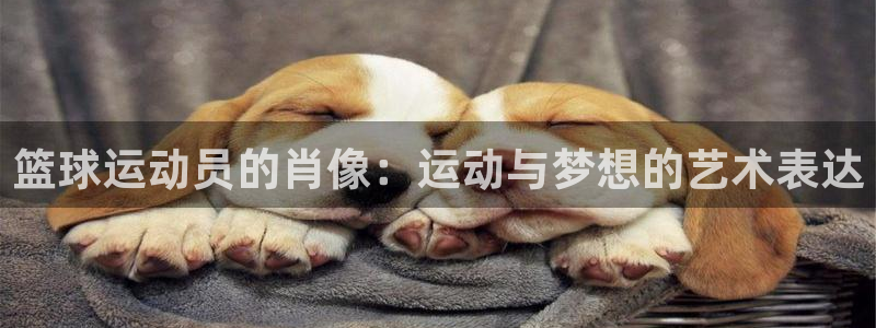 篮球运动员的肖像：运动与梦想的艺术表达