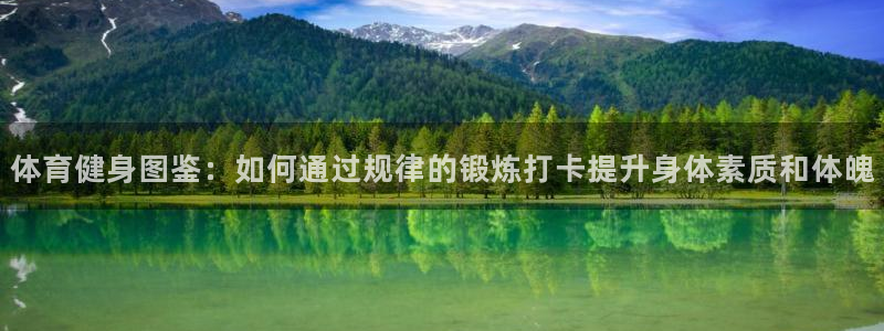 体育健身图鉴：如何通过规律的锻炼打卡提升身体素质和体魄