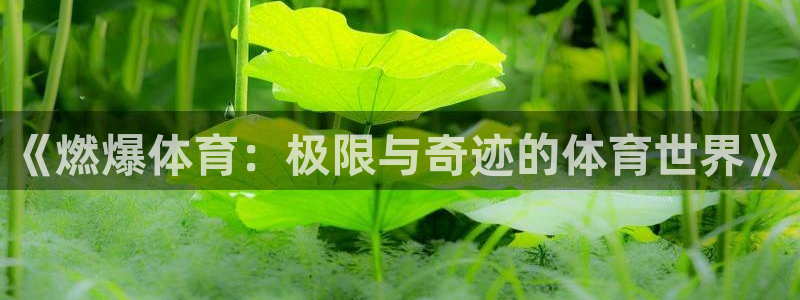 《燃爆体育：极限与奇迹的体育世界》