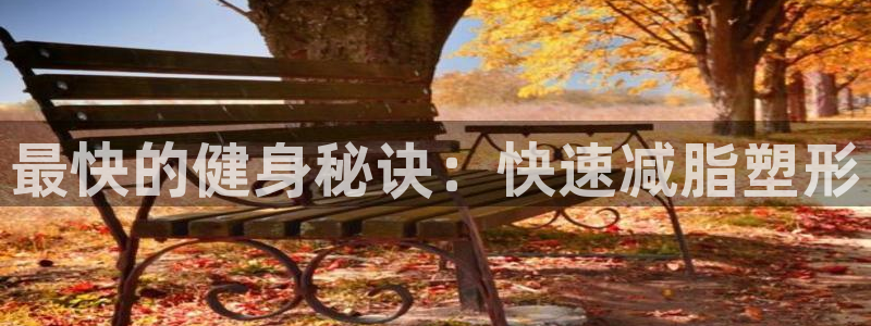 最快的健身秘诀：快速减脂塑形