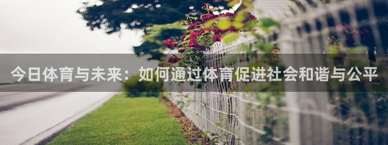 今日体育与未来：如何通过体育促进社会和谐与公平