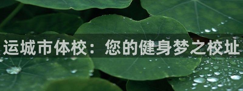 运城市体校：您的健身梦之校址