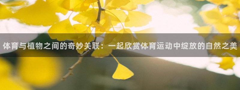 体育与植物之间的奇妙关联：一起欣赏体育运动中绽放的自然之美