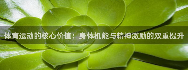 体育运动的核心价值：身体机能与精神激励的双重提升