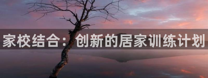 家校结合：创新的居家训练计划