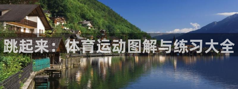 跳起来：体育运动图解与练习大全