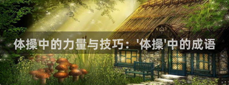 体操中的力量与技巧：\'体操\'中的成语