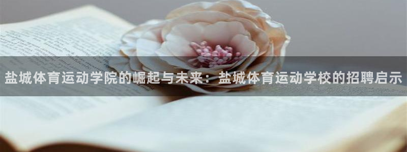 盐城体育运动学院的崛起与未来：盐城体育运动学校的招聘启示