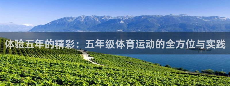 体验五年的精彩：五年级体育运动的全方位与实践