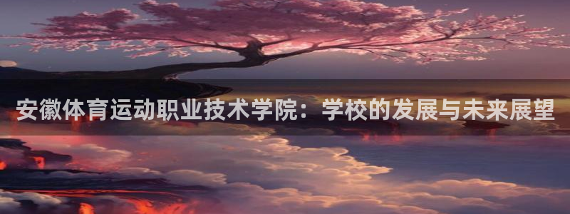 安徽体育运动职业技术学院：学校的发展与未来展望