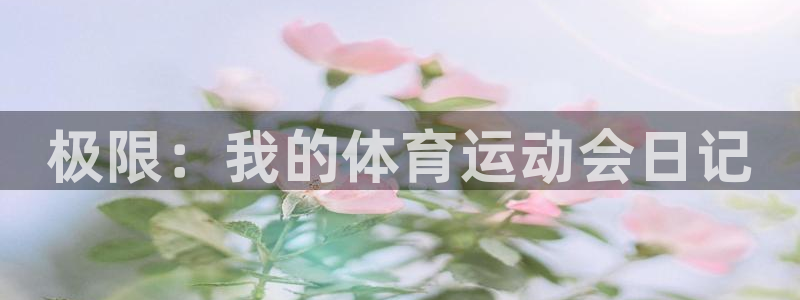 极限：我的体育运动会日记