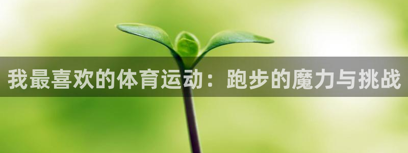 我最喜欢的体育运动：跑步的魔力与挑战